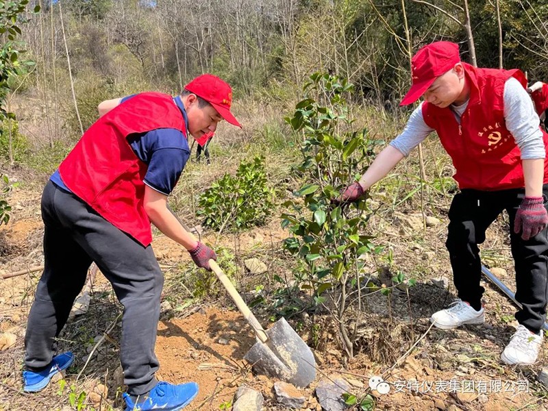 122cc太阳集成游戏