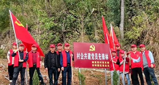 村企共建，，，，，共植先锋林
