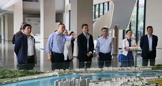 省人大常委会委员陈根芳调研122cc太阳集成游戏集团