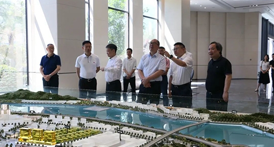 省委政研室童主任一行调研122cc太阳集成游戏集团