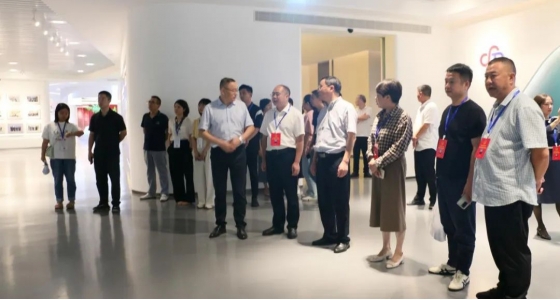 丽水市第五届人大代表景宁中心组调研122cc太阳集成游戏集团