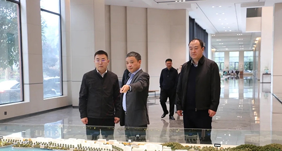 丽水市政府副秘书长王永国一行调研122cc太阳集成游戏集团